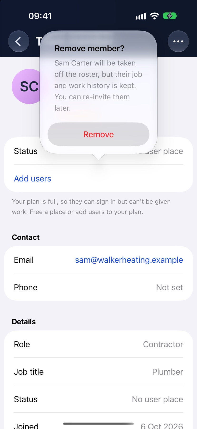 A Team member page with the Remove member? confirmation with the Remove button