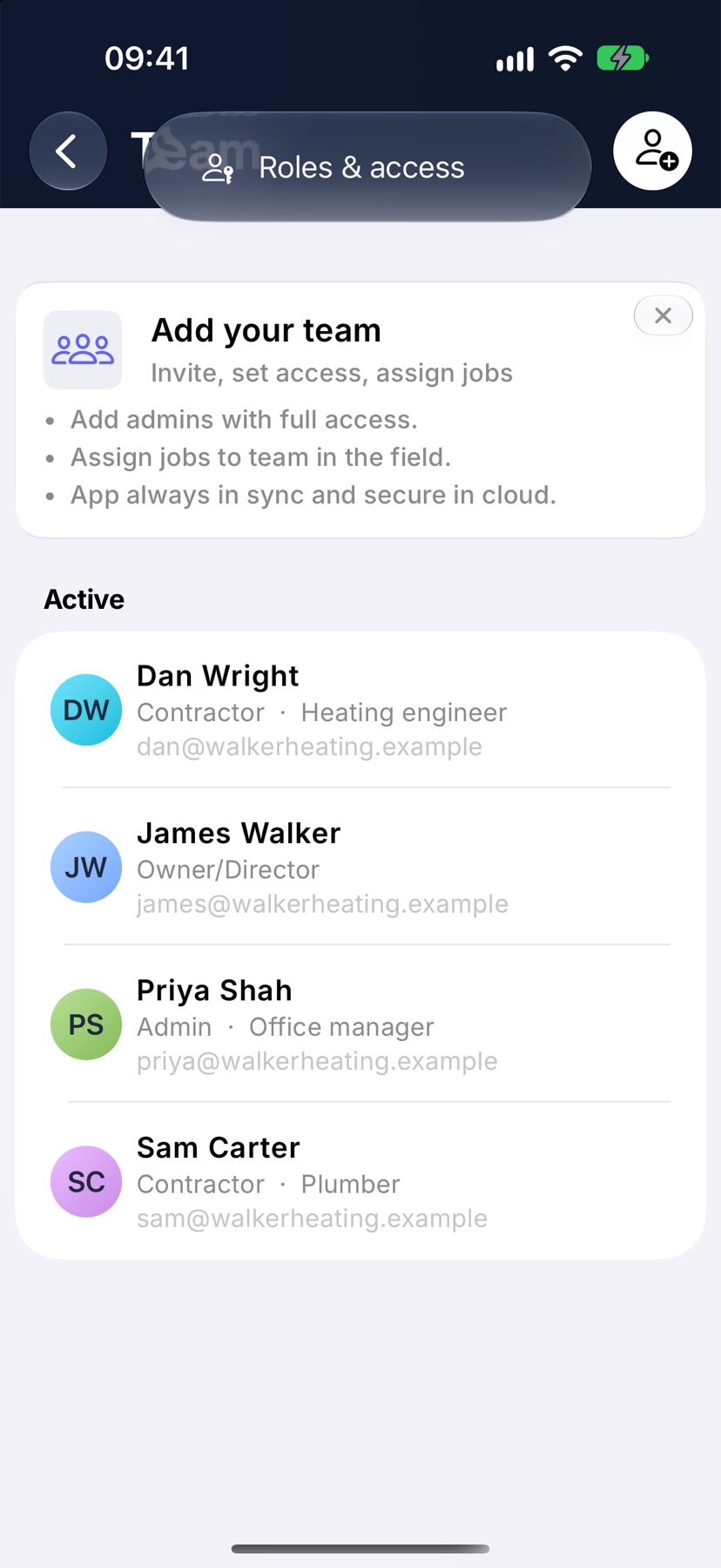 The Team page with the three-dot menu open at the top right, showing Roles & access
