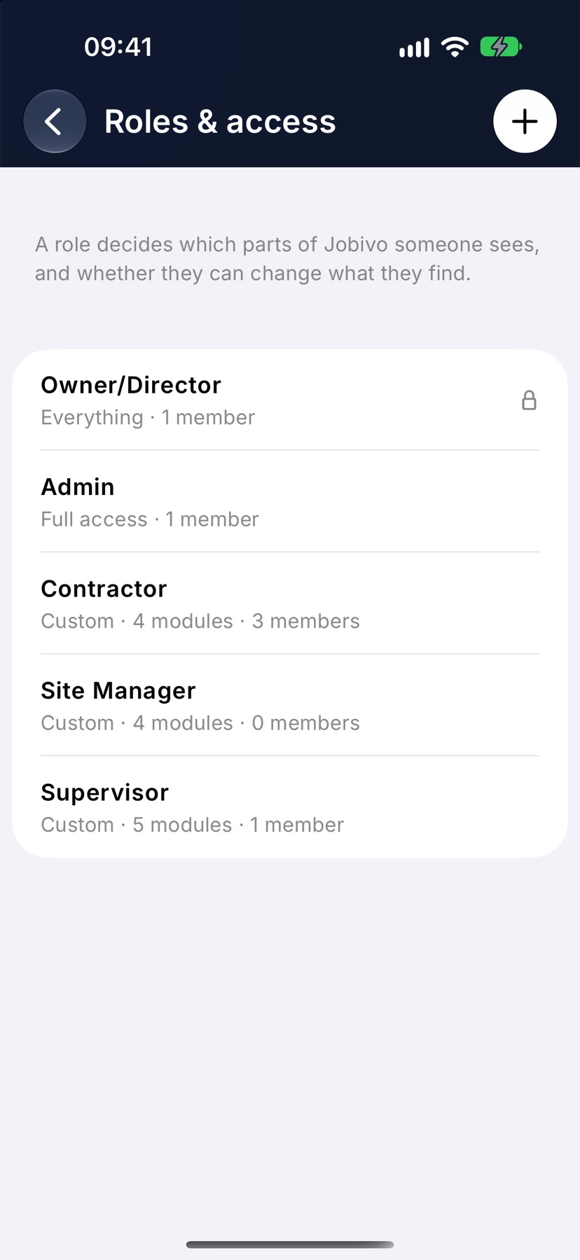 The Roles & access page listing the company's roles, with the padlock on the Owner/Director row