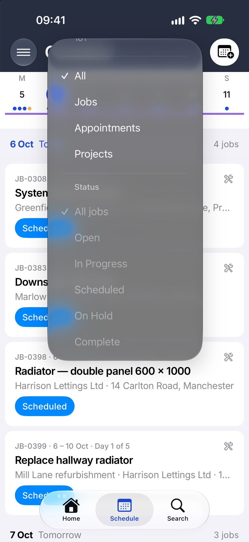 The ⋯ menu scrolled to the Type section with All, Jobs, Appointments and Projects, and the Status section under it with All jobs ticked