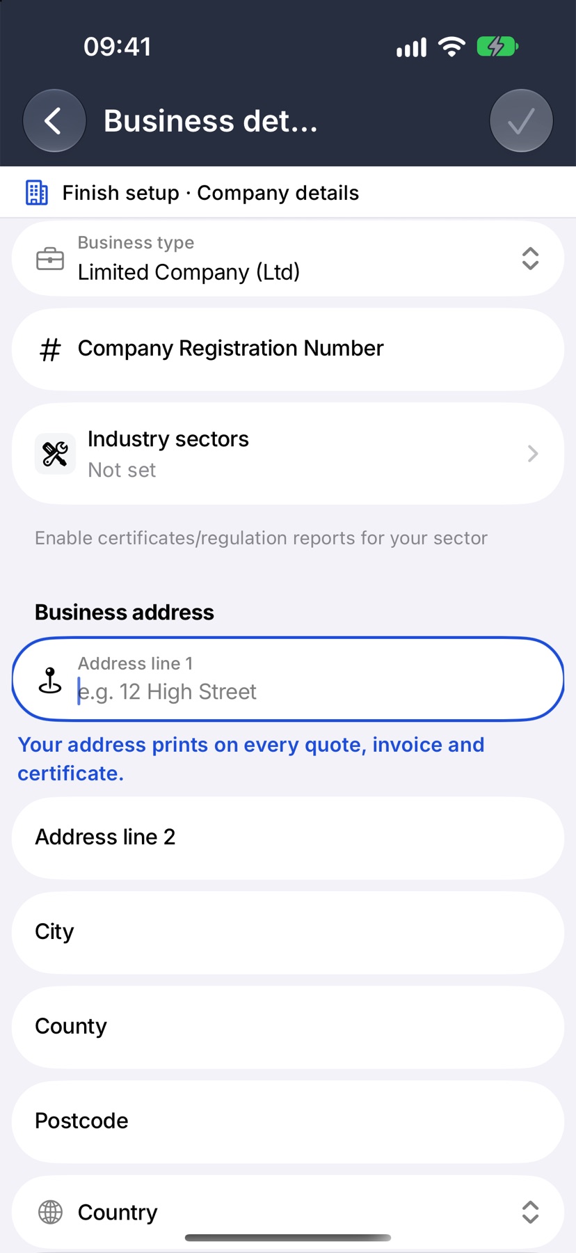 Business details opened from the checklist, with the Finish setup · Company details band under the title and the address fields highlighted