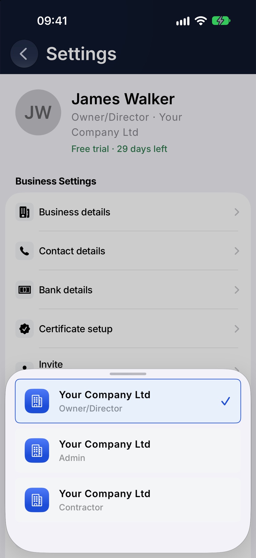 The switch sheet listing Your Company Ltd once for each role, with the Owner/Director row highlighted and ticked